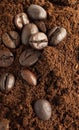 Coffee beans on a pile of ground coffee are close-up. Royalty Free Stock Photo