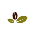 Coffee beans plant vector design template illustration