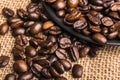 Coffee beans Royalty Free Stock Photo