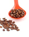 coffee beans in a plstic spoon Royalty Free Stock Photo