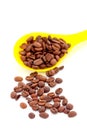 coffee beans in a plstic spoon Royalty Free Stock Photo