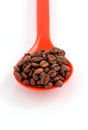 coffee beans in a plstic spoon Royalty Free Stock Photo