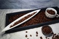 Coffee Beans in a porcelain boat and a coffee cup Royalty Free Stock Photo