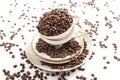 Coffee beans in porcelain cup on white background Royalty Free Stock Photo