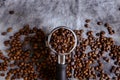 Coffee beans in the portafilter. Fresh roasted coffee background. Top view. Copyspace. Royalty Free Stock Photo
