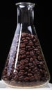 Coffee beans for research in glass flask