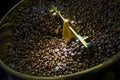 Coffee beans roasted in coffee roasters machine Royalty Free Stock Photo