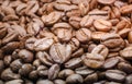 Coffee Beans in Roaster Machine