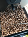 Coffee Beans in Roasting Machine Royalty Free Stock Photo