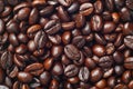 Coffee beans (Robusta coffee) Royalty Free Stock Photo