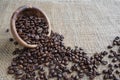 Coffee beans on the rough burlap