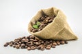 Coffee beans in sack bag Royalty Free Stock Photo