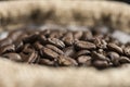 Coffee beans sack Royalty Free Stock Photo
