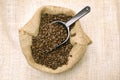Coffee Beans With Scoop On Burlap Background Royalty Free Stock Photo
