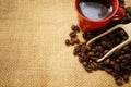 Coffee beans , a scoop and coffee in a red cup Royalty Free Stock Photo