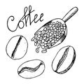 Coffee beans and scoop full of them. Contour hand drawn sketch. Vector illustration isolated on white background. Royalty Free Stock Photo