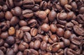 Coffee beans, or the seeds of the coffee plant Royalty Free Stock Photo