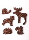 Coffee beans in the shape of animals on a white background Royalty Free Stock Photo