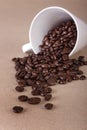 Coffee beans spilled from mug Royalty Free Stock Photo