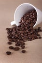Coffee beans spilled from mug Royalty Free Stock Photo