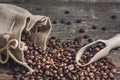 Coffee Beans Spilled out of Burlap Sack Royalty Free Stock Photo