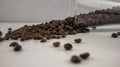 Coffee beans spilled out of the glass Royalty Free Stock Photo