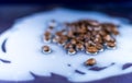 Coffee Beans Spilt on Milk Royalty Free Stock Photo