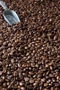 Coffee beans and spoon background Royalty Free Stock Photo