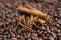 Coffee beans, star anise and cinnamon sticks. Royalty Free Stock Photo