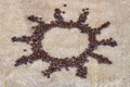 Coffee beans Sun shape - mock up Royalty Free Stock Photo