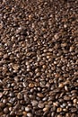 Coffee beans toasted background Royalty Free Stock Photo