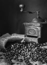 Coffee beans and vintage coffee grinder. Roasted coffee beans in a vintage setting. Dark still life