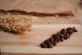 Coffee beans and wheat on wooden background and burlap sack texture Royalty Free Stock Photo