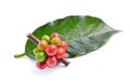 Coffee beans on white background.