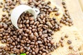 Coffee beans with white cup and green leaves Royalty Free Stock Photo