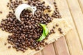 Coffee beans with white cup and green leaves Royalty Free Stock Photo