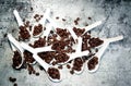 Coffee Beans and white porcelain spoons on a concrete table Royalty Free Stock Photo