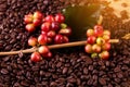 Coffee beans. On a wooden background rotation Royalty Free Stock Photo