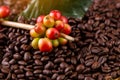 Coffee beans. On a wooden background rotation Royalty Free Stock Photo