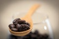 Coffee beans in wooden spoon