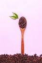 Coffee beans in wooden spoon on pink background Royalty Free Stock Photo