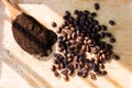 Coffee beans on a wooden tray and coffee grounds on a wooden spoon Royalty Free Stock Photo