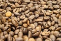 Coffee on black surface Dense Roasted beans of Arabica Robusta Low depth of field Royalty Free Stock Photo