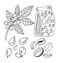 Coffee branch with leaf and berry, beans and bag art in doodles style. Hand drawing black outline vector illustration on white Royalty Free Stock Photo