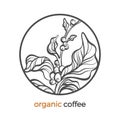 Coffee branch logo with leaf and bean Royalty Free Stock Photo