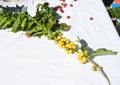 Coffee branches on display in Brazil at Feira Agricola in the interior of Brazil, South America, photo zoom