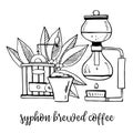 Coffee brewed in syphon. Composition with utensils and coffee leaves. Hand drawn outline sketch illustration
