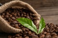 Coffee brown bean medium roasted with fresh green leaf