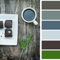 Coffee and brownie, color pallette Royalty Free Stock Photo