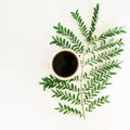 coffee with brunch of leaves.white background.forest aesthetic autumn idea